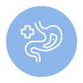 stomach